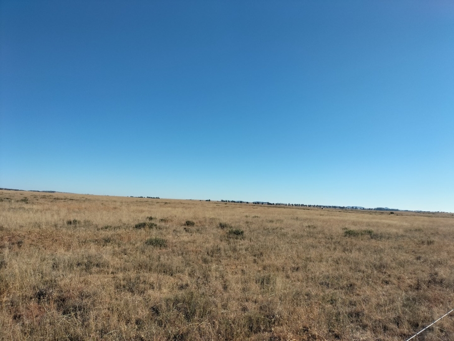 4 Bedroom Property for Sale in Edenburg Rural Free State